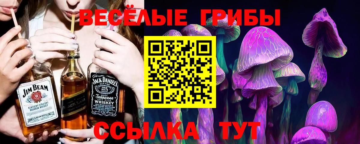 Новосибирск  Галлюциногенные грибы мухоморы  Вход с VPN 